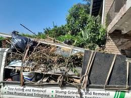 Best Carpet Removal and Disposal  in Pine Bush, NY