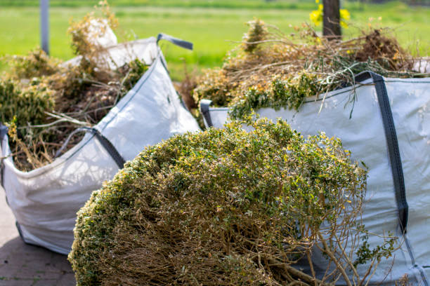 Best Dumpster Rental Services  in Pine Bush, NY